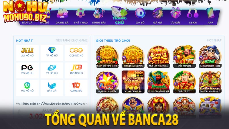 Tổng quan về Banca28